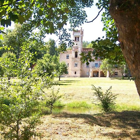 Palac Dabrowica Dabrowica  Exterior photo