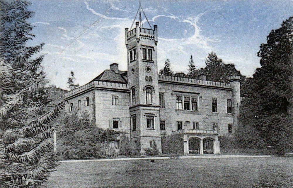 Palac Dabrowica Dabrowica  Exterior photo