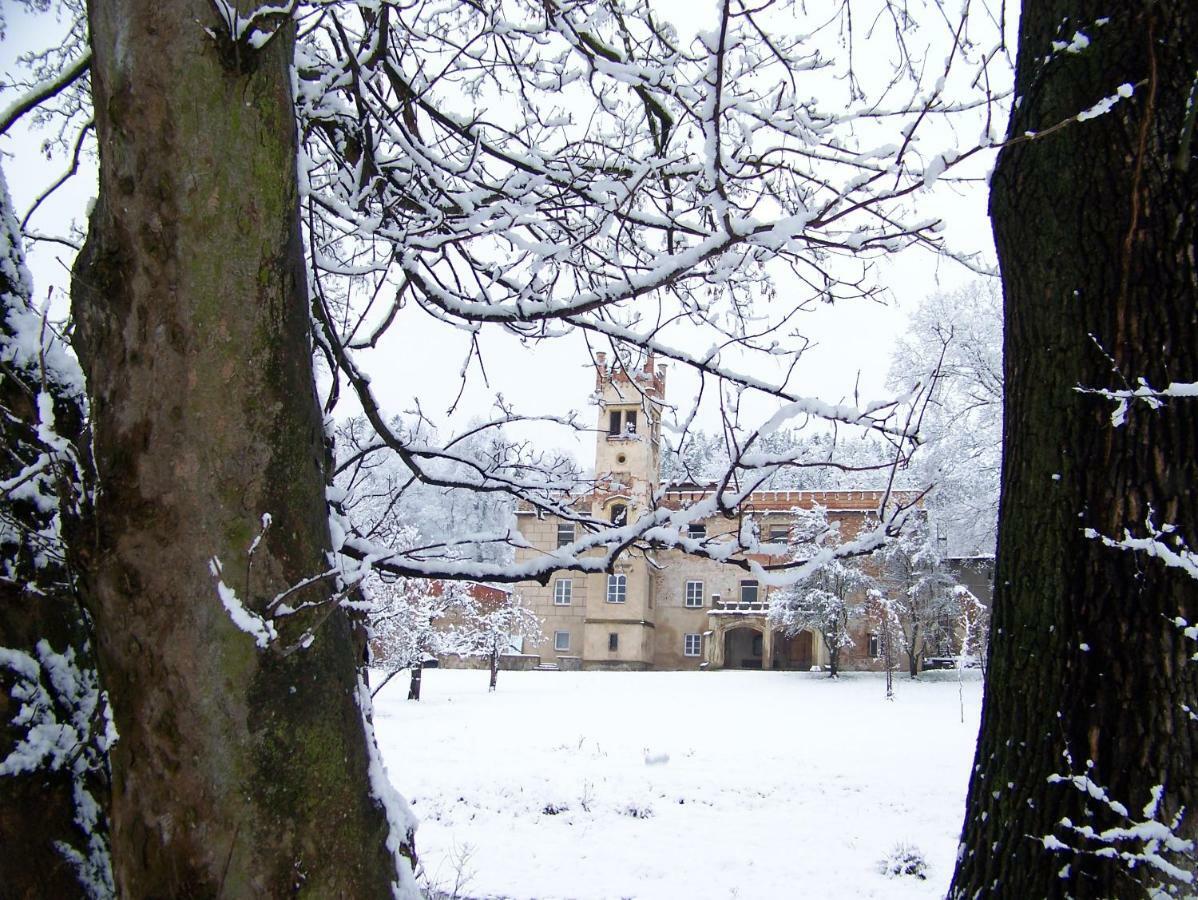 Palac Dabrowica Dabrowica  Exterior photo