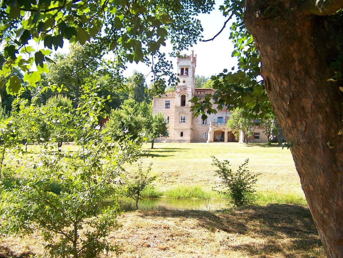 Palac Dabrowica Dabrowica  Exterior photo