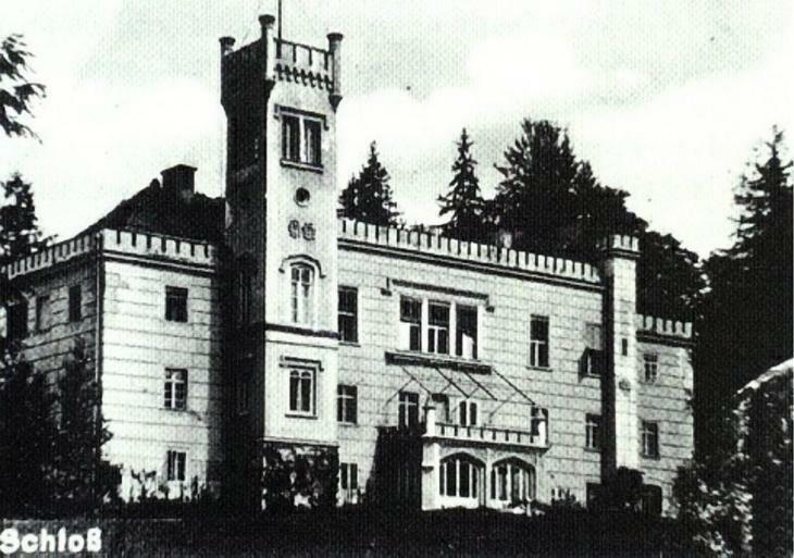 Palac Dabrowica Dabrowica  Exterior photo