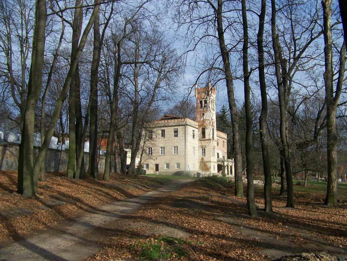 Palac Dabrowica Dabrowica  Exterior photo
